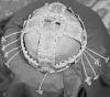 Hungarian Crown Jewels, stolen Nazi gold, Crown of St Stephen