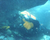 Seadart salvage diver Bob working under an overhang on the Halsewell wreck site. Image � Seadart Divers Association
